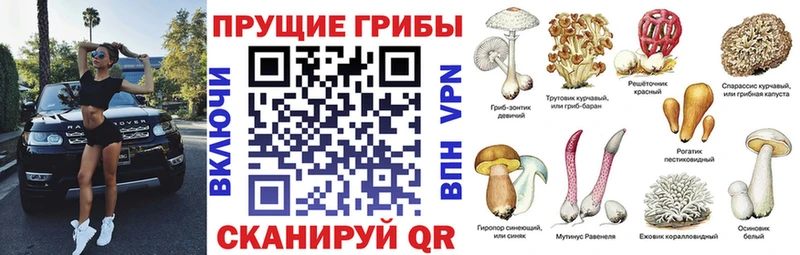 Псилоцибиновые грибы прущие грибы как найти закладки Верхоянск